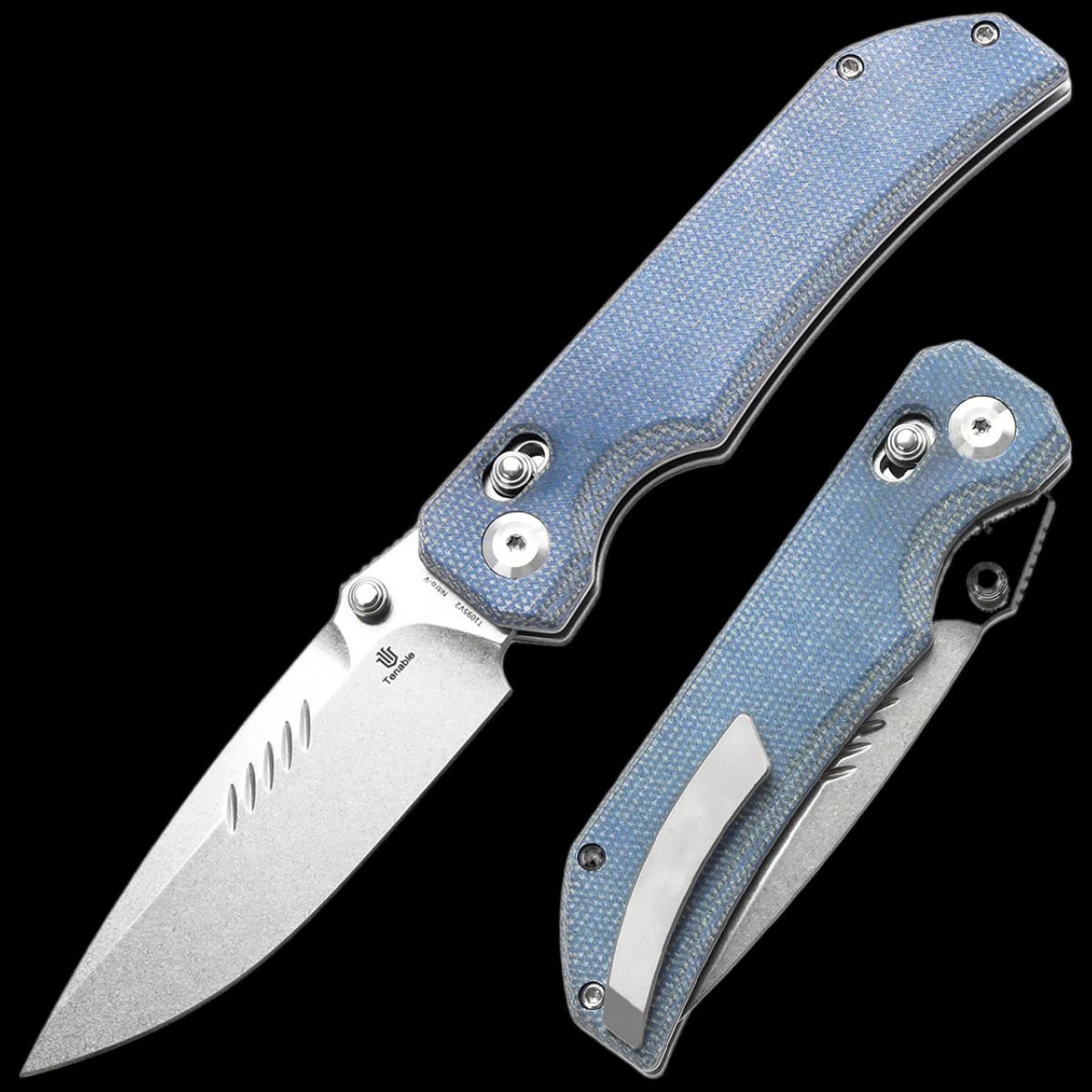Tenable Eaglestrike - Image 2
