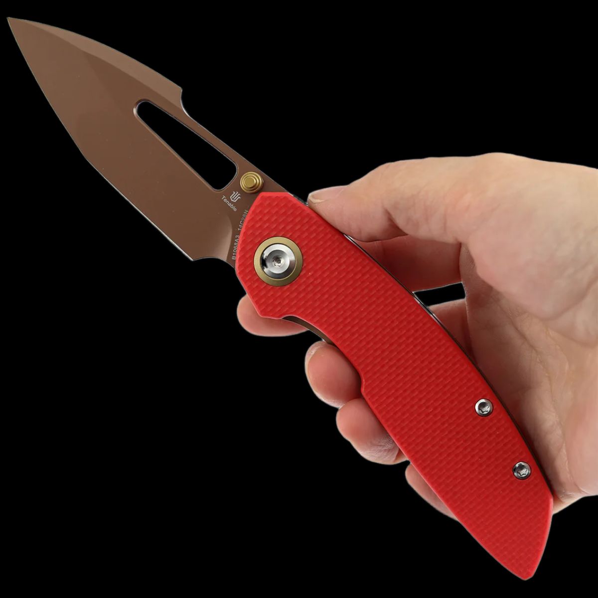 Tenable Link - Image 9