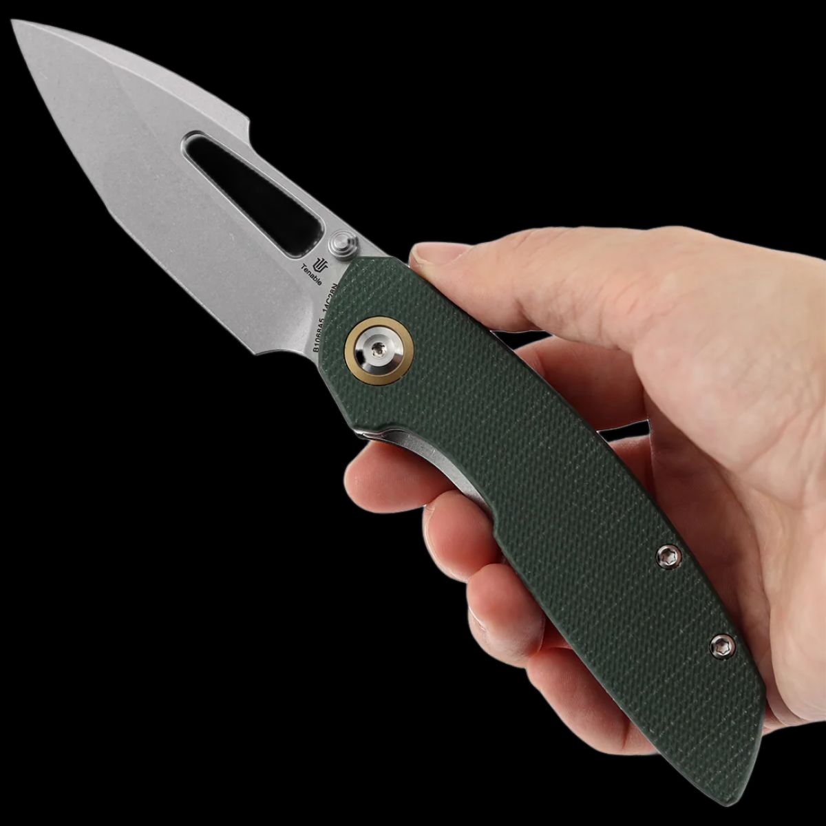 Tenable Link - Image 9