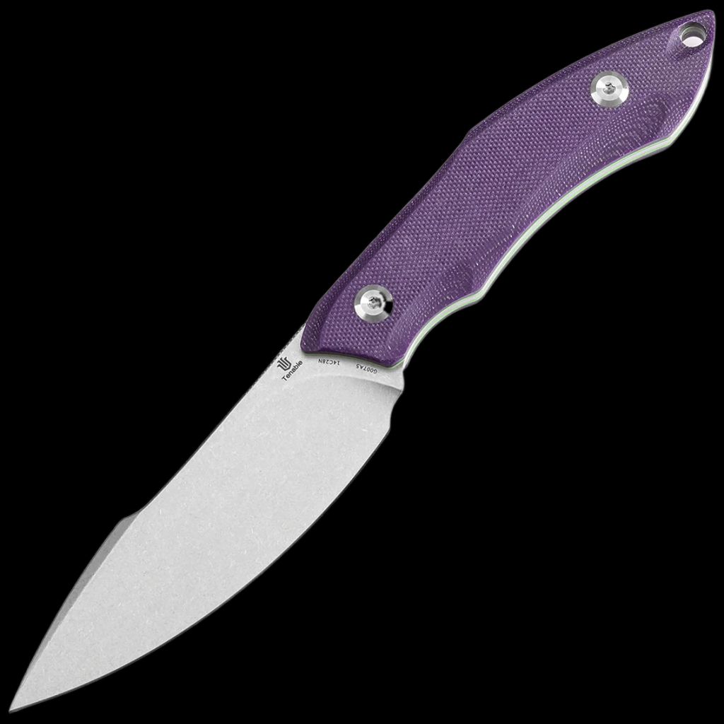 Tenable Luccio
