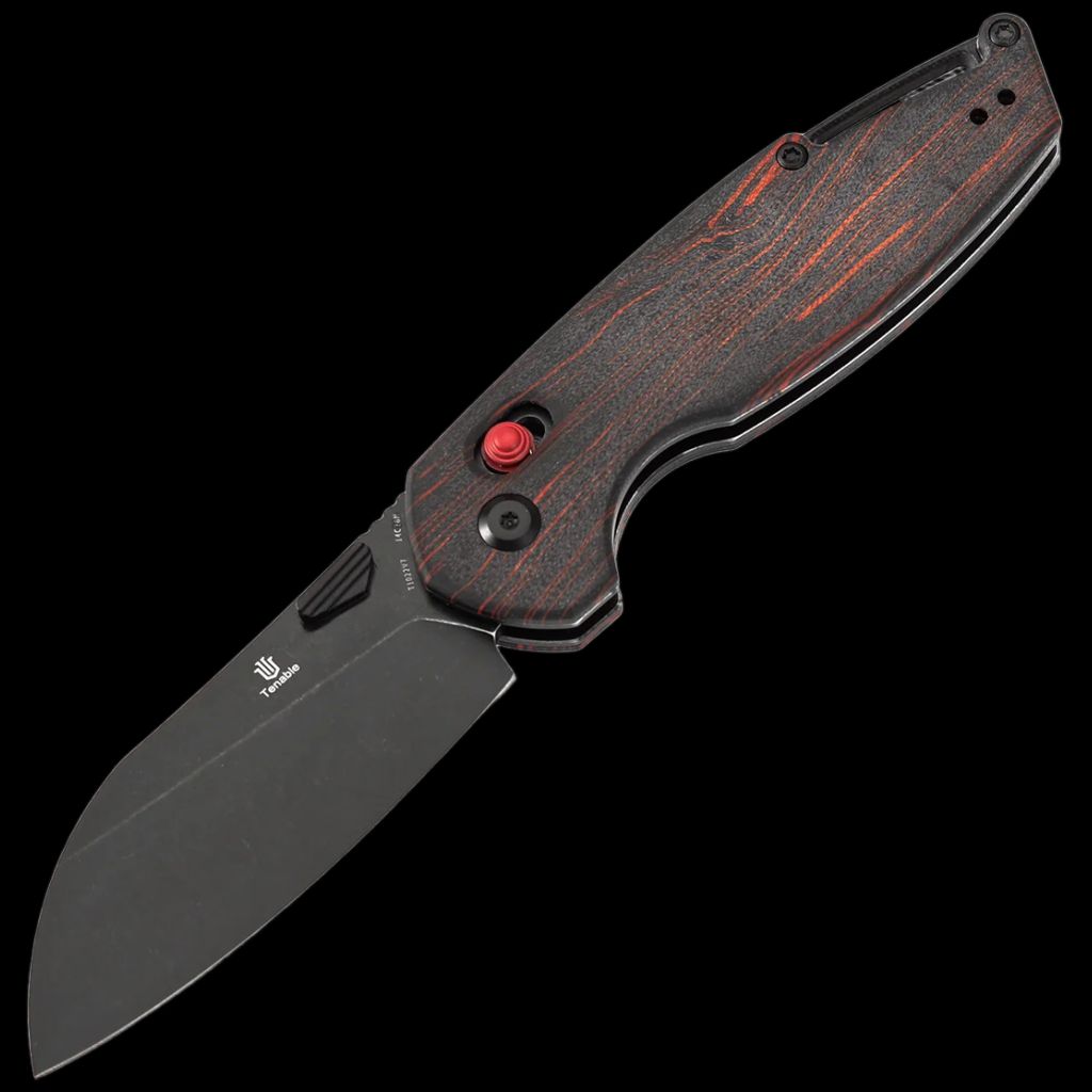 Tenable Model 6