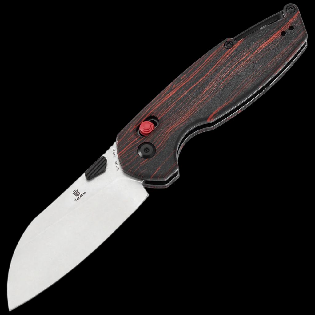 Tenable Model 6