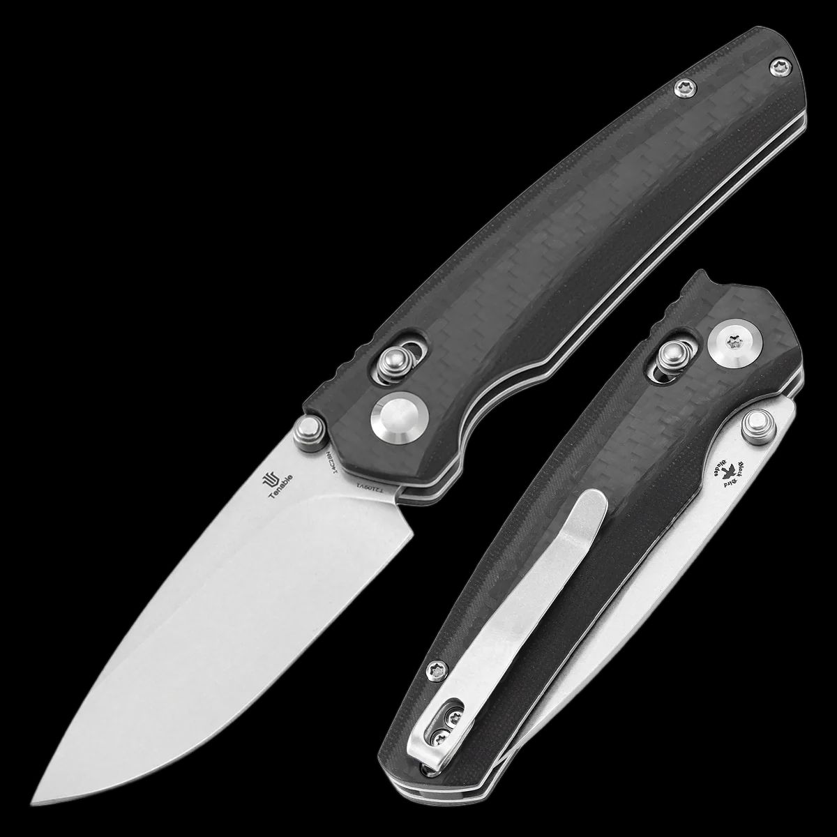 Tenable Raven - Image 2