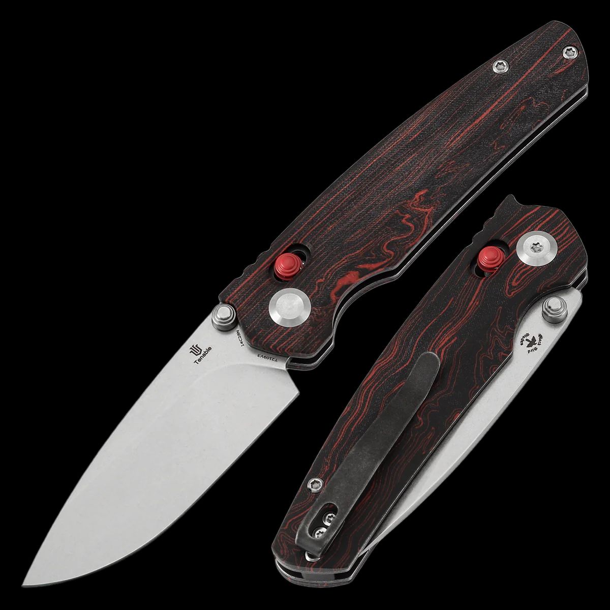 Tenable Raven - Image 2