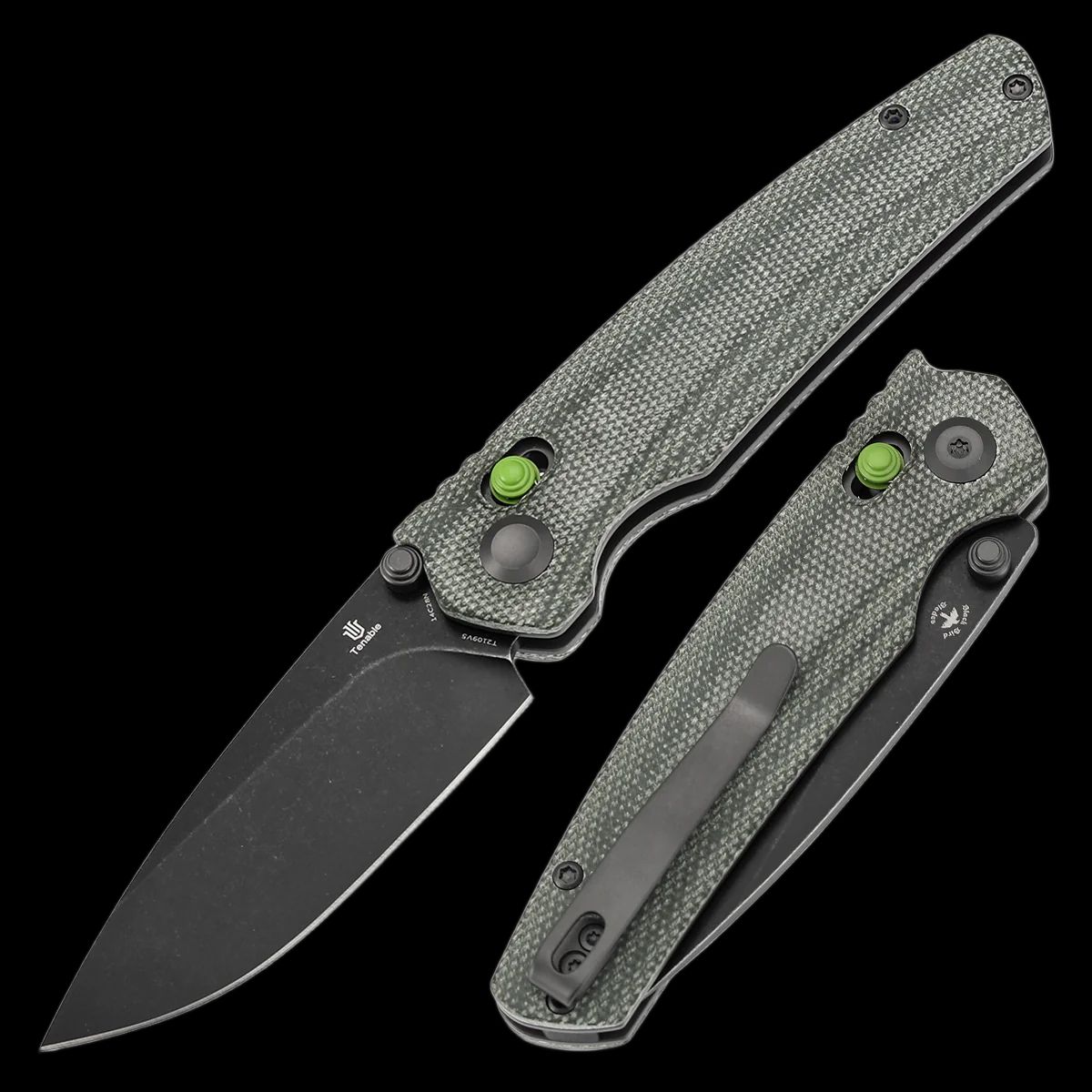Tenable Raven - Image 2