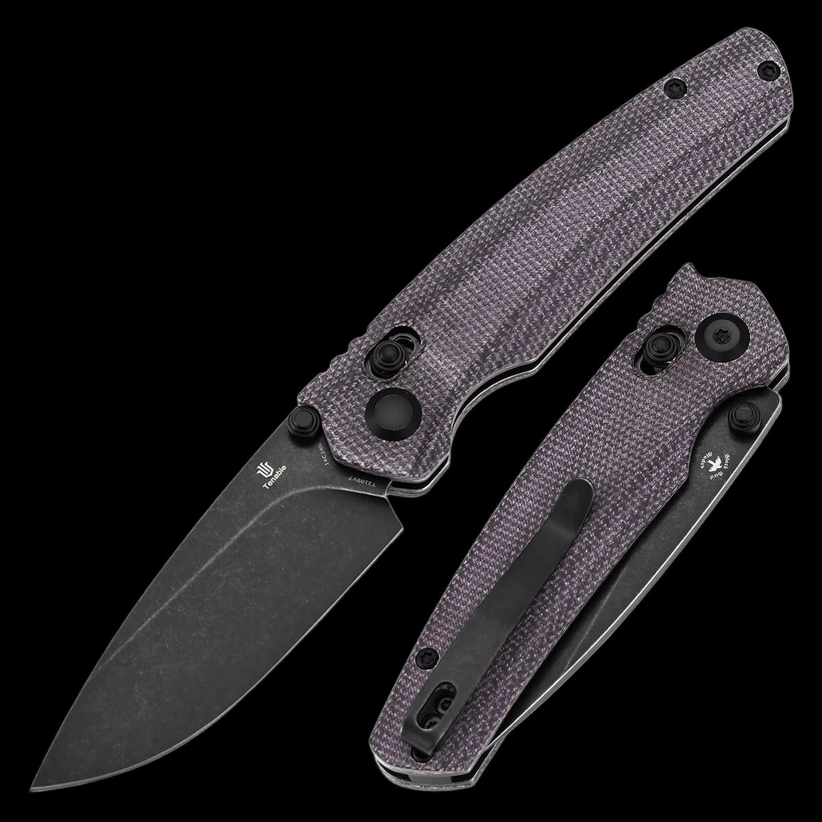 Tenable Raven - Image 2