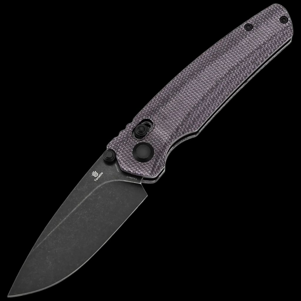 Tenable Raven